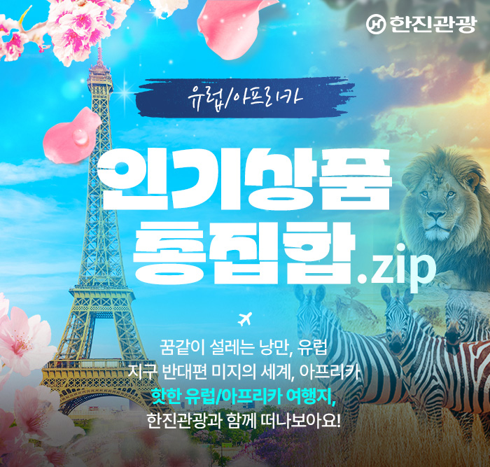[기획전] 유럽&아프리카 인기상품 총집합